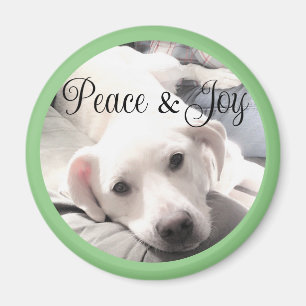 Imán La paz del perro y el verde joy de los perros con 