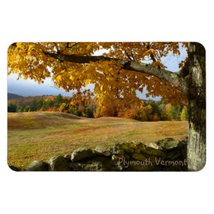 Imán La Paz En El Magnet De Vermont