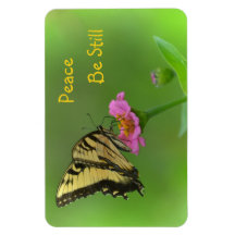 La paz sea aún mariposa