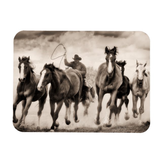 Imán La persecución (Horizontal)