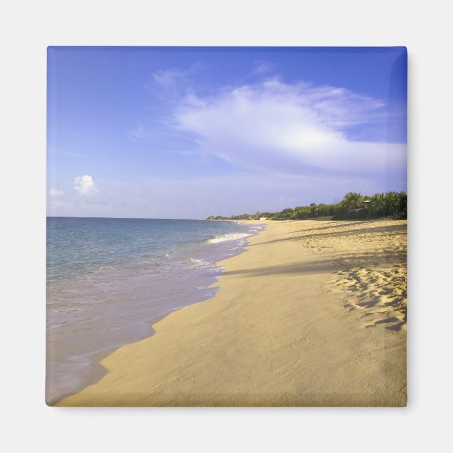 Imán La playa de Baie Longue Long Bay, St. Martin, (Frente)