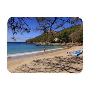 Imán La playa en el Parque Nacional de la Isla de Pigeo
