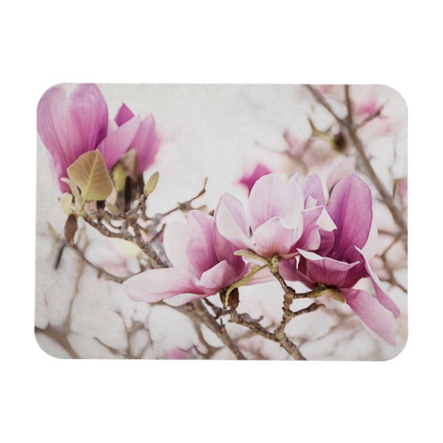 Imán La primavera está en el aire (Horizontal)