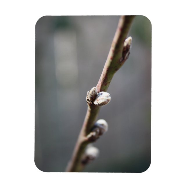 Imán La primavera está llegando (Vertical)
