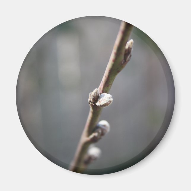 Imán La primavera está llegando (Frente)