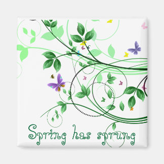 Imán La primavera tiene primavera