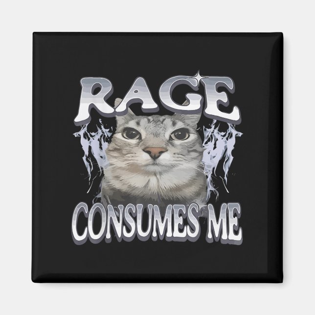 Imán La rabia me consume gracioso mirando meme a mujere (Frente)