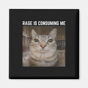 Imán La rabia me está consumiendo meme de gato extrañam