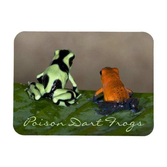 Imán La reflexión sobre la situación (Horizontal)