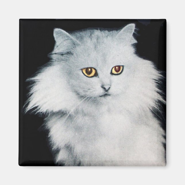 IMÁN LA REINA DE LOS GATOS BLANCOS (Frente)