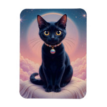 La Reina Del Cielo Del Gato Negro