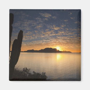 Imán La salida del sol sobre Isla Danzante en el Golfo
