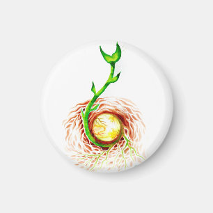 Imán La semilla del lienzo de poster de vida imprimió e