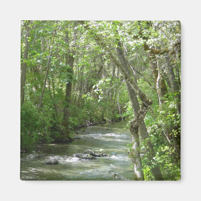 Imán La serenidad...... (Frente)