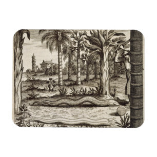 Imán La serpiente de piedra, de 'China ilustrada' por A