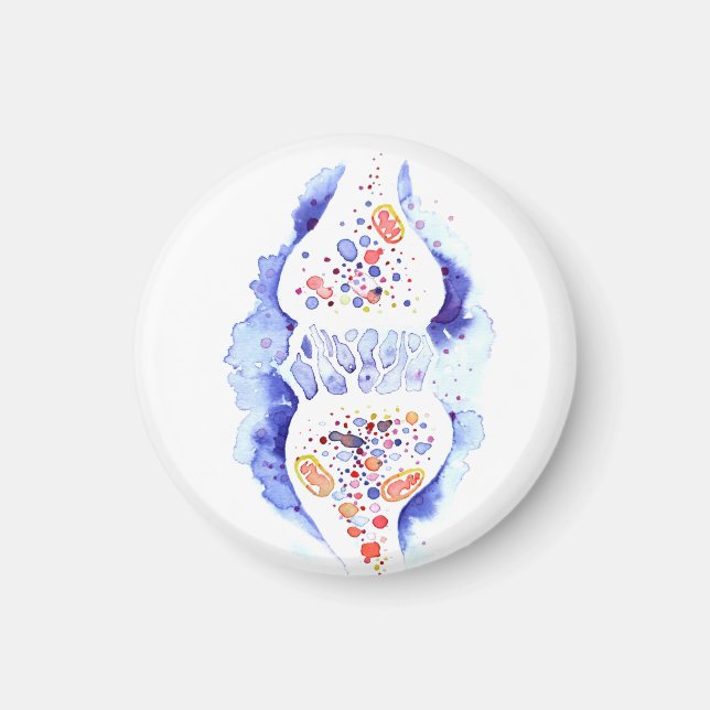 Imán La sinapsis y la impresión del lienzo de impulso n (Frente)