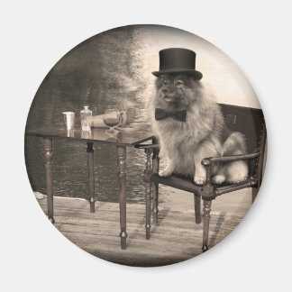 Imán La tarde de Keeshond Gentleman