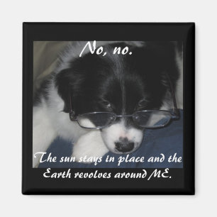 Imán "La Tierra Se Revuelta A Mi Alrededor"