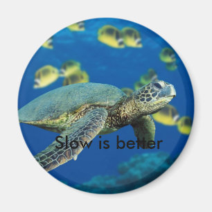 Imán La tortuga de mar verde, lenta es mejor