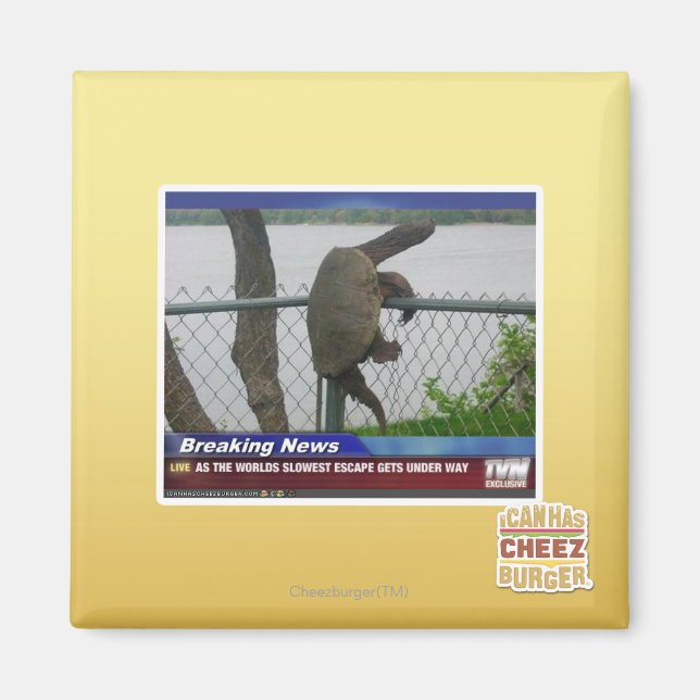 Imán La tortuga excapante (Frente)