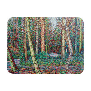 Imán La trayectoria de enero