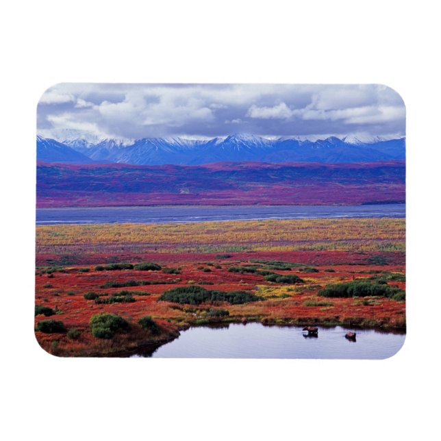 Imán La tundra del Parque Nacional Denali a finales (Horizontal)
