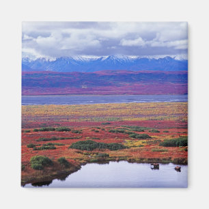 Imán La tundra del Parque Nacional Denali a finales