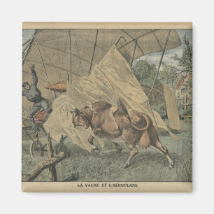 Imán La vaca y el aeroplano