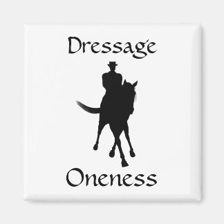 Imán La Vestimenta Es Un Caballo Y Un Jinete