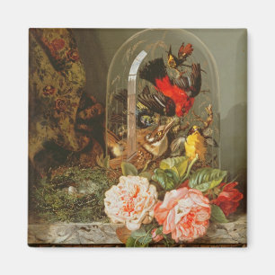 Imán La vida con el pájaro zumbante en una residencia d