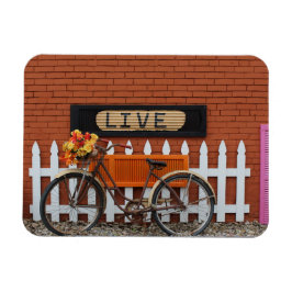 Imán La vida de la bicicleta sigue viva