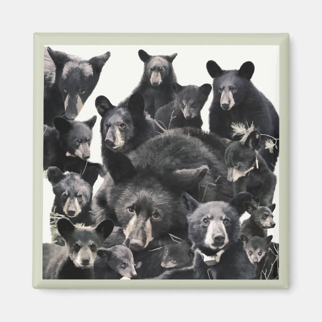 Imán La vida de la esperanza (Frente)