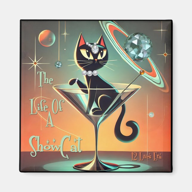 Imán La Vida De Un Gato De Chispa (Frente)