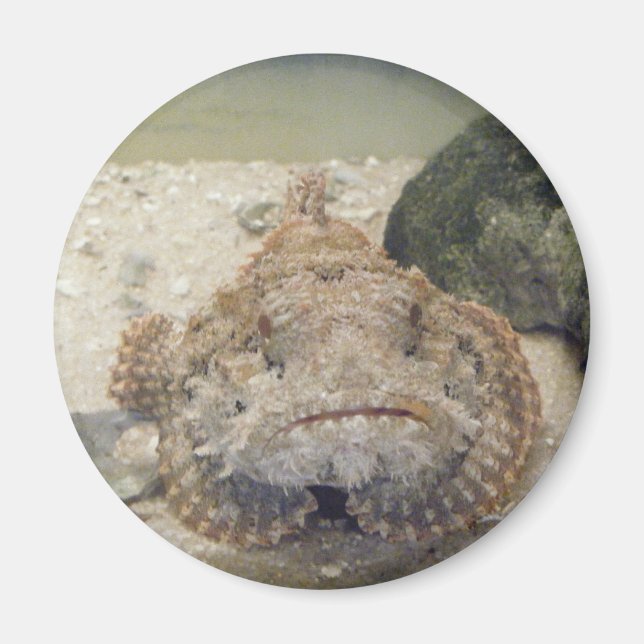Imán La vida en el mar de Alabama #2 (Frente)