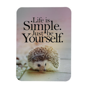 Imán La vida es cita inspiradora del erizo lindo simple