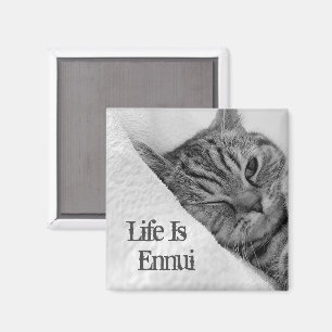 Imán La vida es eterna, el gato de Tabby está mintiendo