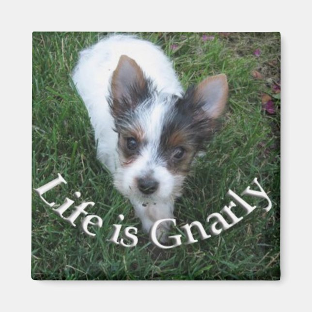 Imán La vida es genial (Frente)