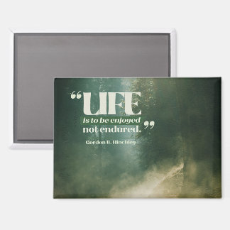 Imán La vida es para ser disfrutada