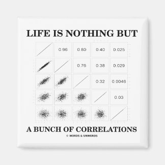 Imán La Vida No Es Nada Más Que Un Montón De Correlacio