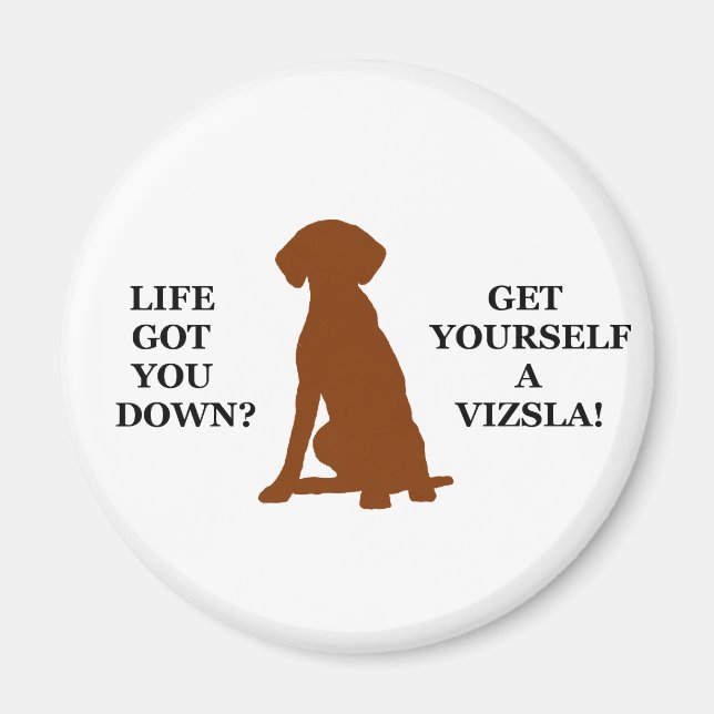 Imán ¿La Vida Te Ha Caído? ¡Consíganse Un Vizsla! (Frente)