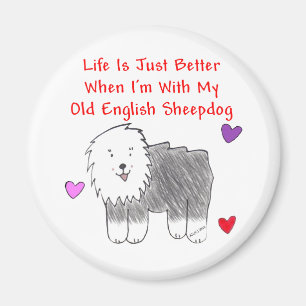 Imán La vieja vida inglesa del perro pastor es apenas
