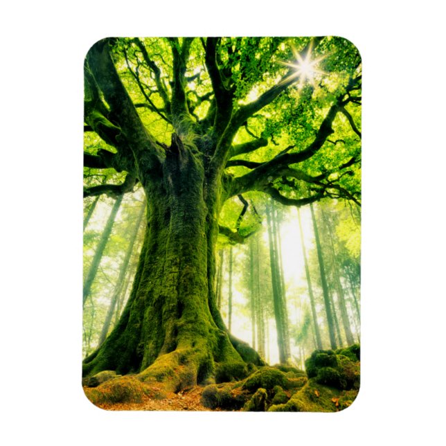 Imán La voz de Ponthus (Vertical)