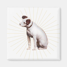 Imán La voz de su maestro brillando