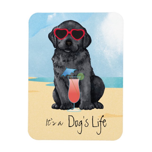 Imán Laboratorio negro de verano (Vertical)