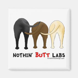Imán Laboratorios de nada