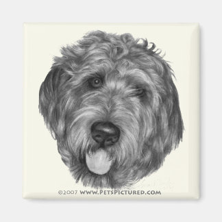 Imán Labradoodle