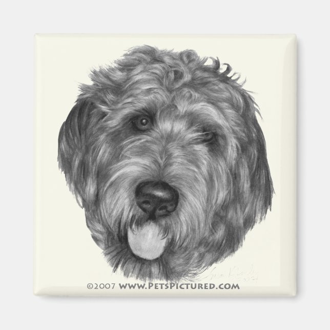 Imán Labradoodle (Frente)