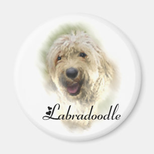Imán Labradoodle Lovers Regalos