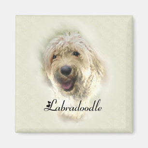 Imán Labradoodle Lovers Regalos