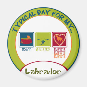 Imán Labrador